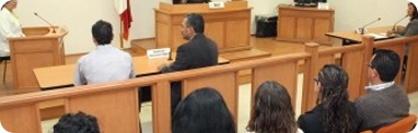 en ligitación estratégica en el sistema penal acusatorio